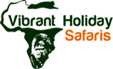 Vibrant Holiday Safaris logo