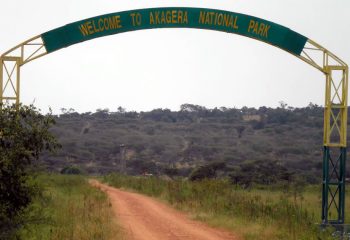 How to access Akagera National Park in Rwanda