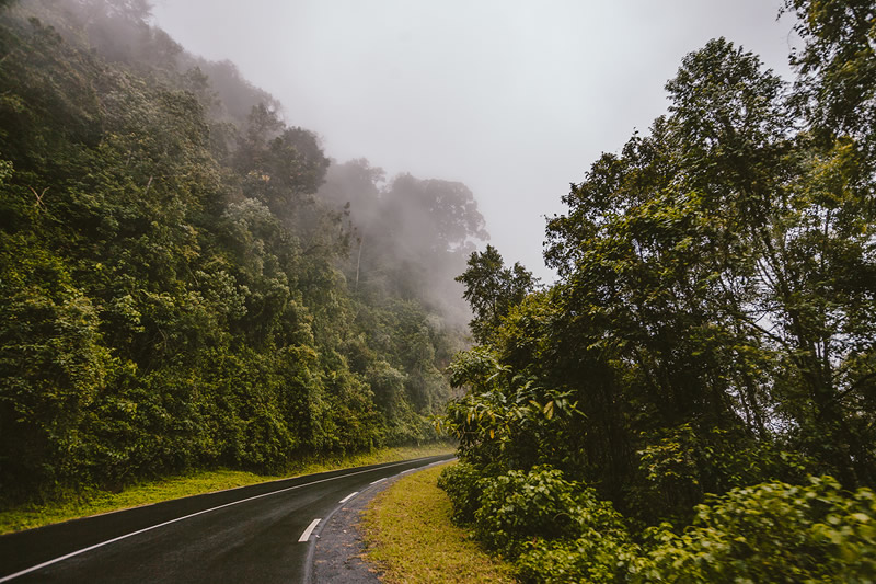 How to access Nyungwe Forest National Park?