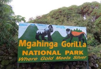 Mgahinga gorilla permit