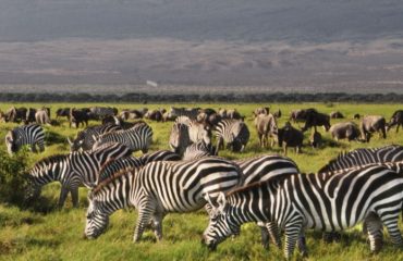 Amboseli National Park Observation hill