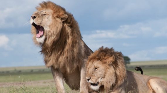 Tsavo East National Park