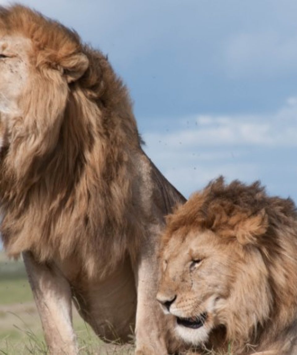 Tsavo East National Park