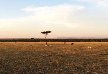 Masai Mara National Reserve Weather