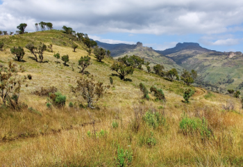 Mount Elgon national park