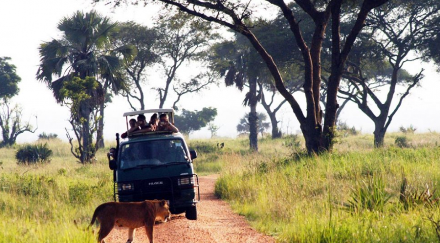 Things to do in Uganda National Parks