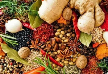 zanzibar spice tours