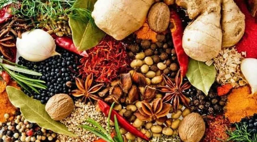 zanzibar spice tours